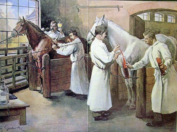 veteriner-hekim-tarihi-veteriner-nedir